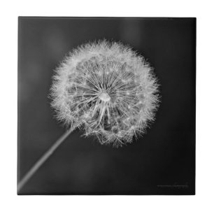 Gone to Seed Tile