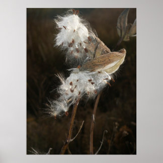 Gone With The Wind Poster