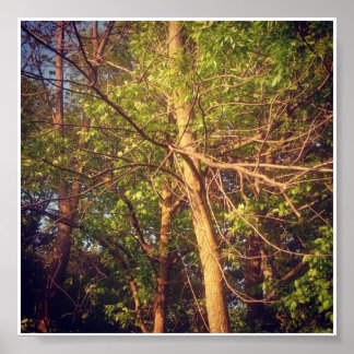 Good Afternoon Poster