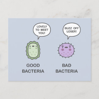 Good Bacteria, Bad Bacteria Postcard