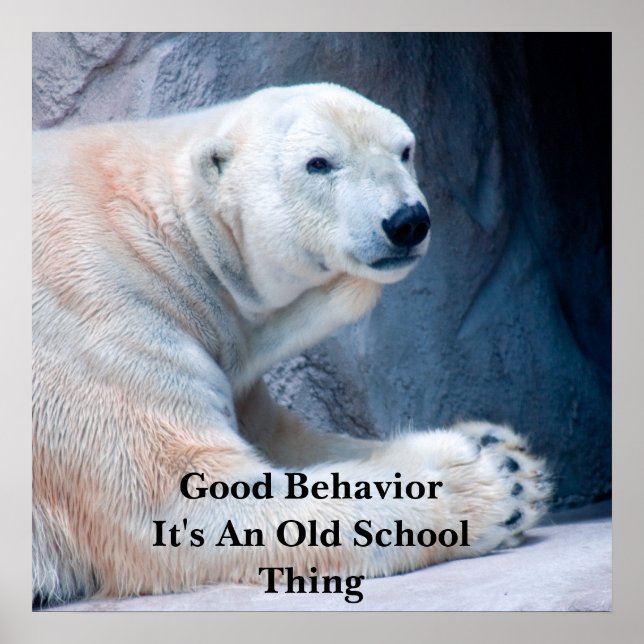 Good BehaviorI Poster (Front)