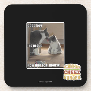 Good boy coaster