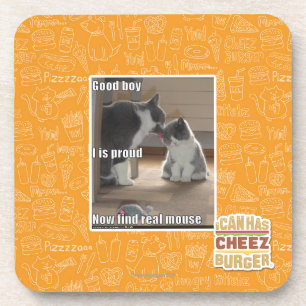 Good boy coaster