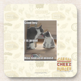 Good boy coaster