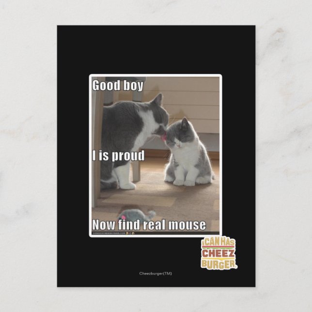 Good boy postcard (Front)