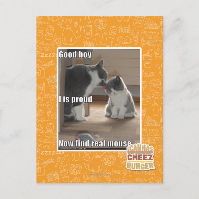 Good boy postcard (Front)