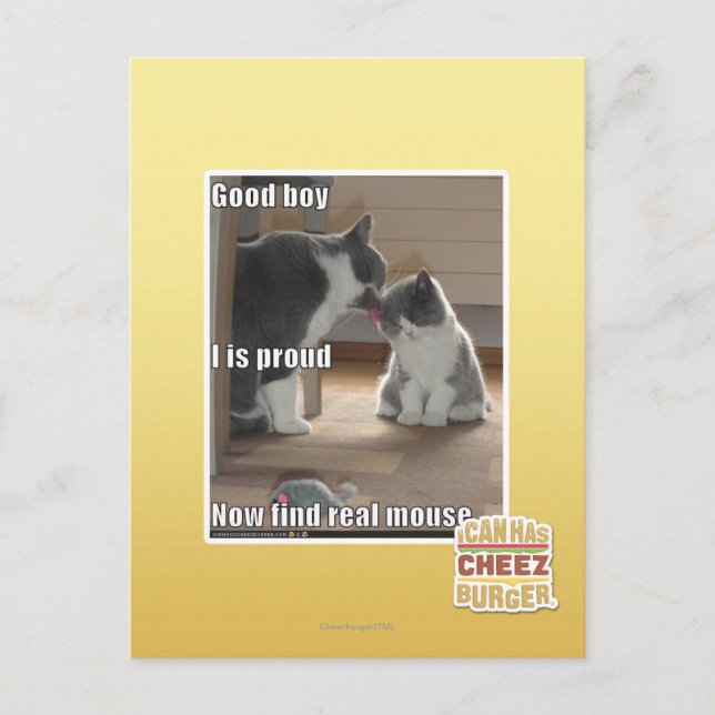 Good boy postcard (Front)