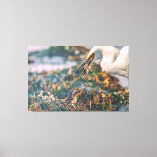 Good Catch Canvas Print