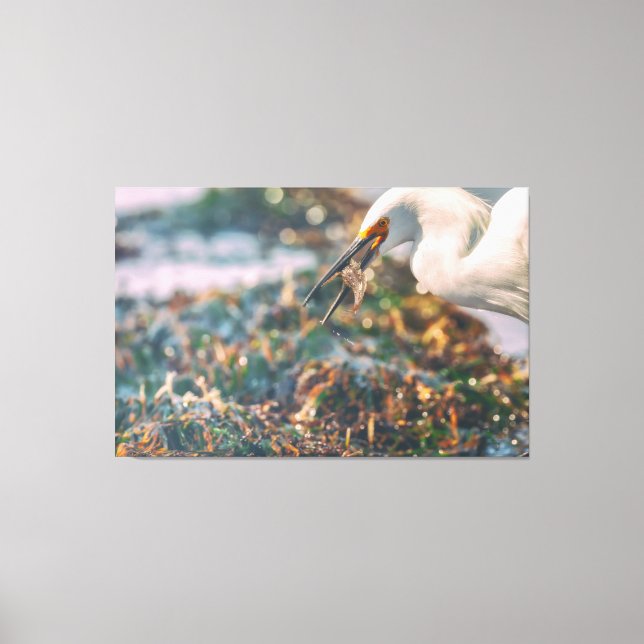 Good Catch Canvas Print (Front)