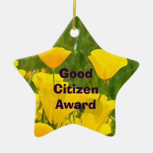 Good Citizen Award! ornament Awards Gifts School