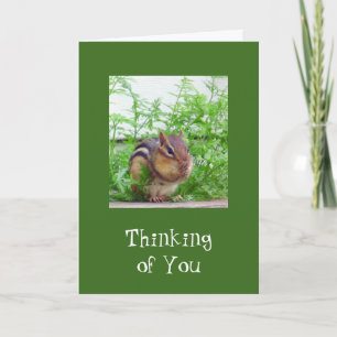 Good Day Wildlife Card