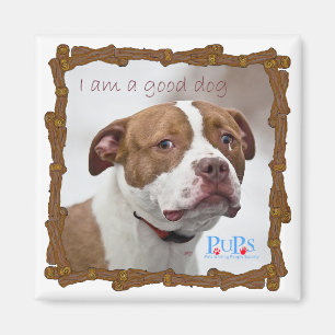 Good Dog Pit Bull Rescue Magnet