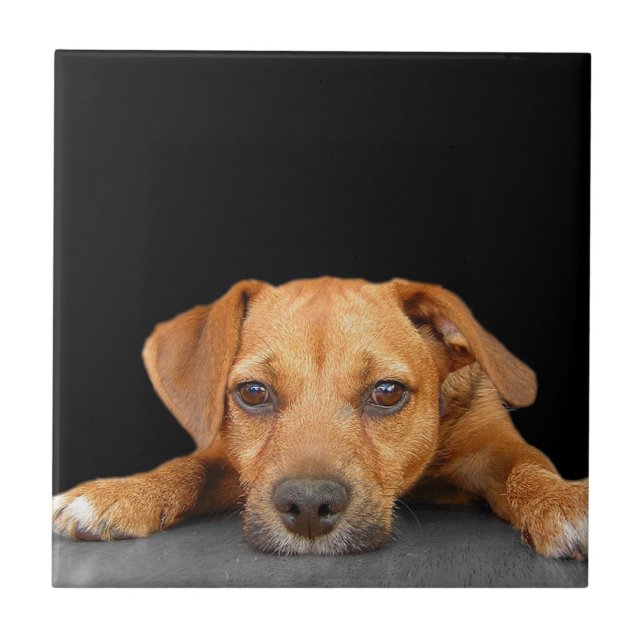 Good Dog Tile (Front)