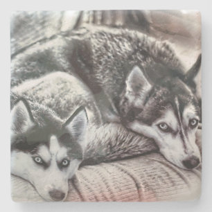 Good Dogs Stone Coaster