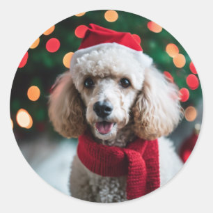 Good Girl Santa Photo of Pet Poodle Christmas Classic Round Sticker