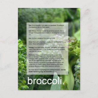 Good Growing Guide: Broccoli and radishes Postcard