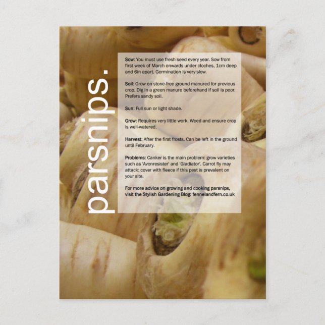 Good Growing Guide: Globe Artichokes & Parsnips Postcard (Front)