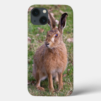 Good Hare Day iPad Case
