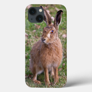 Good Hare Day iPad Mini Case