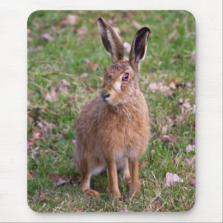 Good Hare Day Mousemat