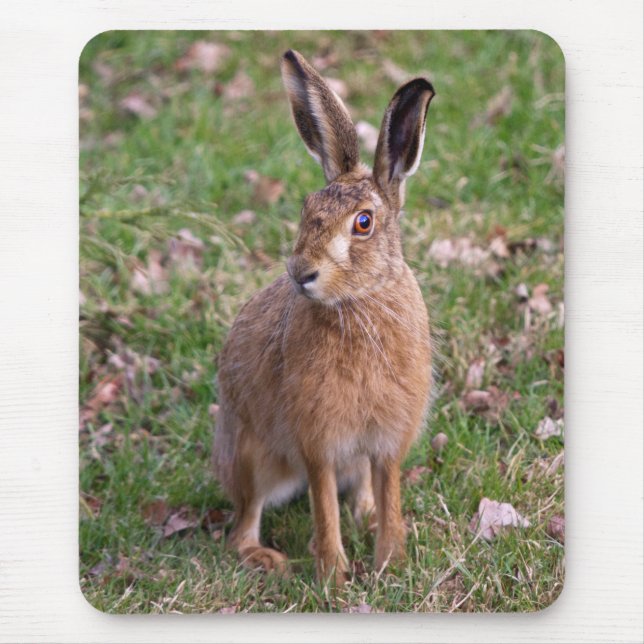 Good Hare Day Mousemat (Front)