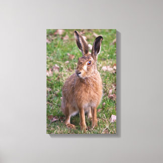 Good Hare Day Wrapped Canvas