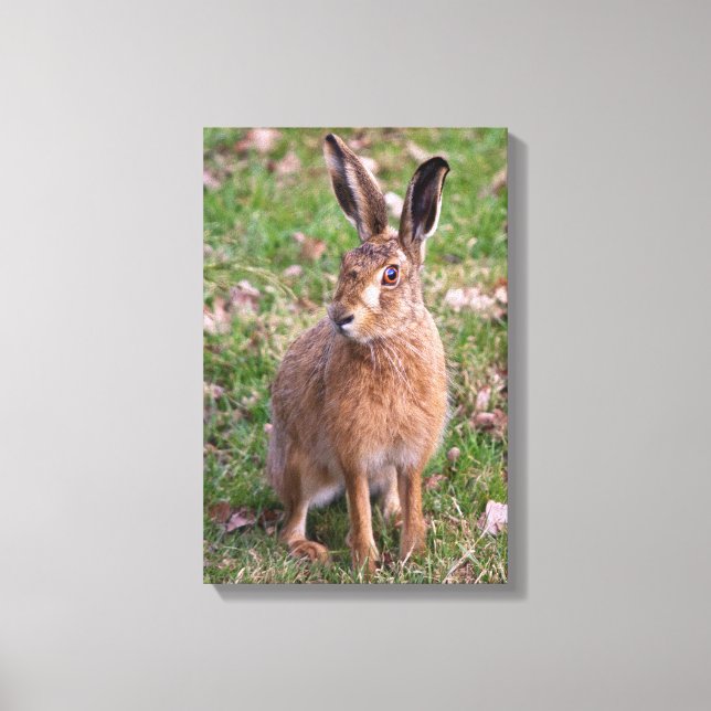 Good Hare Day Wrapped Canvas (Front)