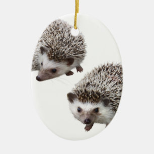 good hedgehog ceramic tree decoration