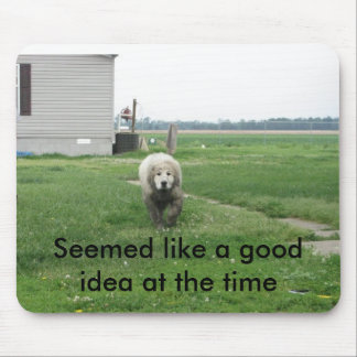 Good Idea Mouse Mat