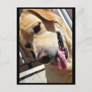 Good joke,man! postcard