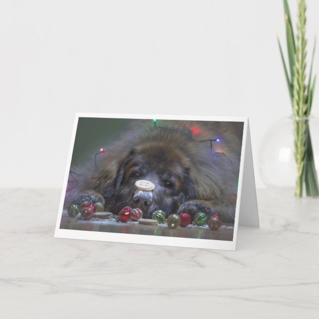 Good Leonberger Christmas Card (Front)
