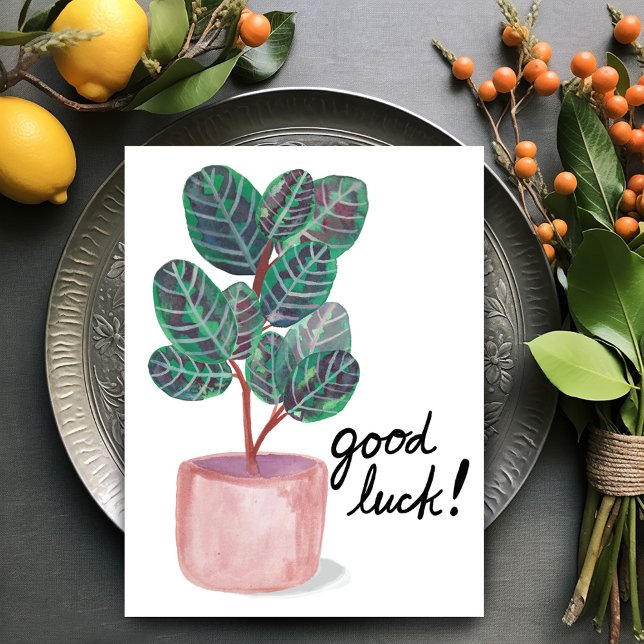 Good Luck Calathea Prayer Plant Watercolor Postcard (Good Luck Calathea Prayer Plant Watercolor Postcard
)
