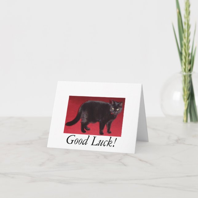 Good Luck cat Card (Front)