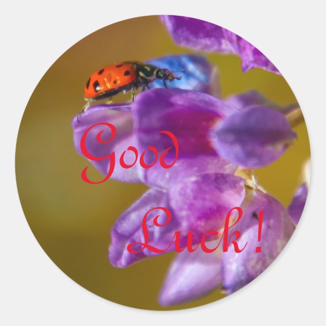 Good Luck! Classic Round Sticker (Front)