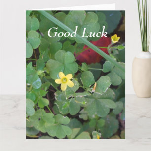 Good Luck Clover for Friend- Big Greeting Card