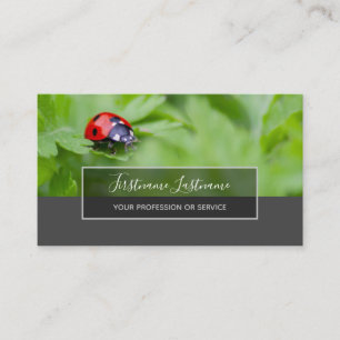 Good luck dotted ladybugs elegant gray rectangle b business card