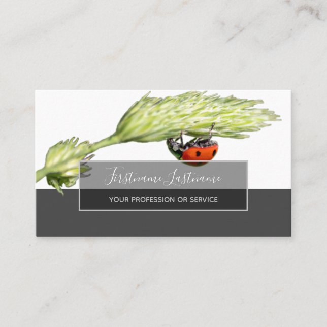 Good luck dotted ladybugs elegant grey rectangle business card (Front)