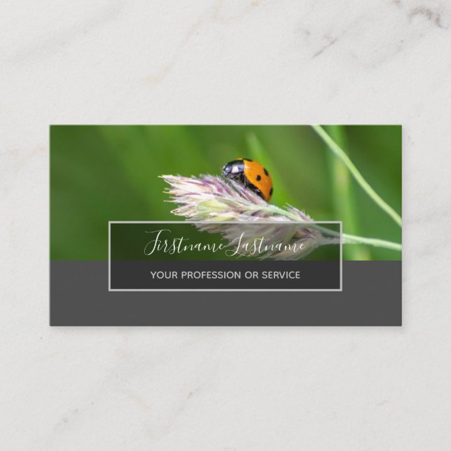 Good luck dotted ladybugs elegant grey rectangle business card (Front)