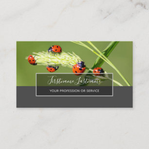 Good luck dotted ladybugs elegant grey rectangle business card