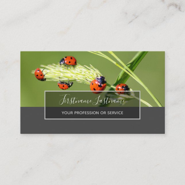 Good luck dotted ladybugs elegant grey rectangle business card (Front)