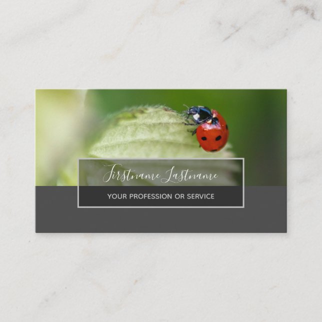 Good luck dotted ladybugs elegant grey rectangle business card (Front)