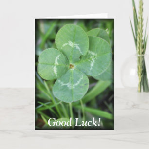 Good Luck Four Leaf Clover Card