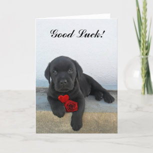 Good Luck labrador puppy Card