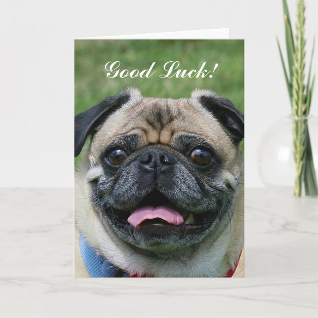 Good Luck Pug Dog Card (Front)
