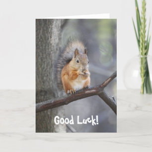 Good Luck Red Squirrel greeting card