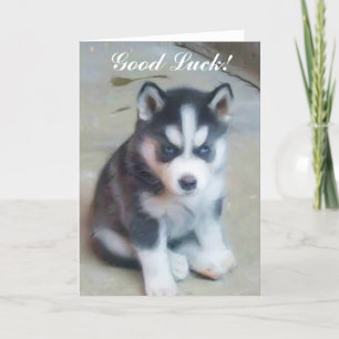 Good Luck Siberian Husky Puppy card