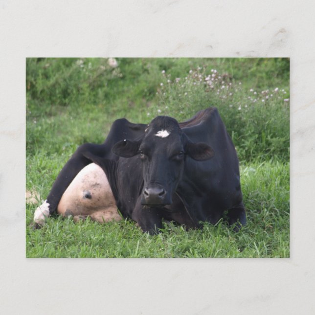 Good Moarning WI Postcard (Front)