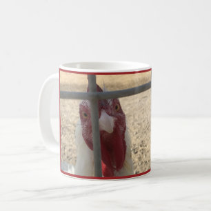 Good Morning Chicken Coffee Mug