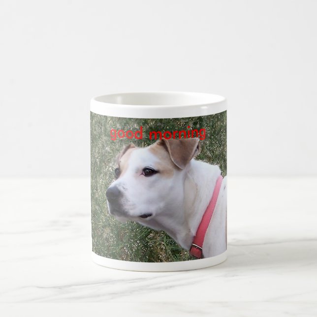 , good morning coffee mug (Center)