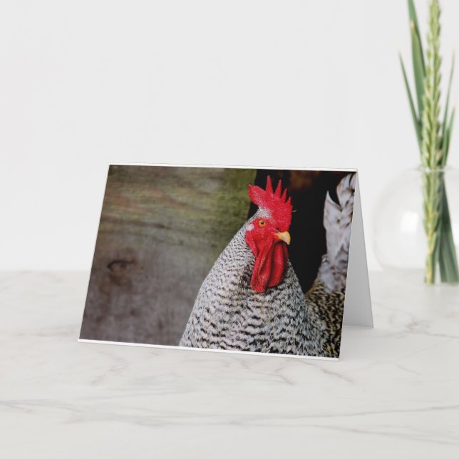 Good Morning, Elmer! Card (Front)